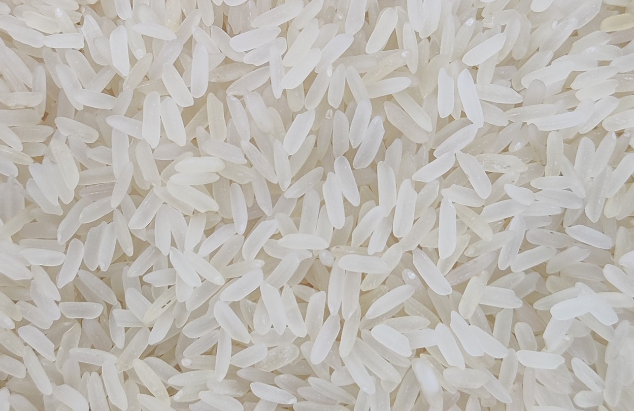 Rice